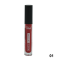 VILAL MATTE LIP GLOSS